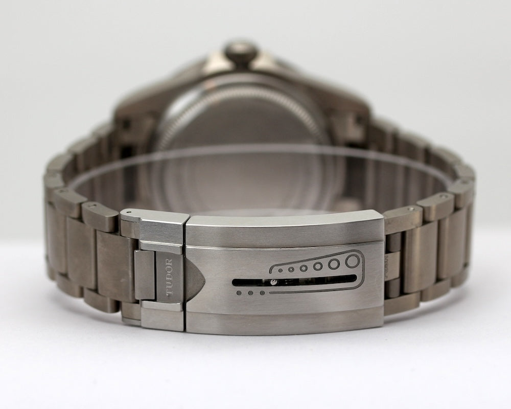 Tudor Pelagos 25600TN