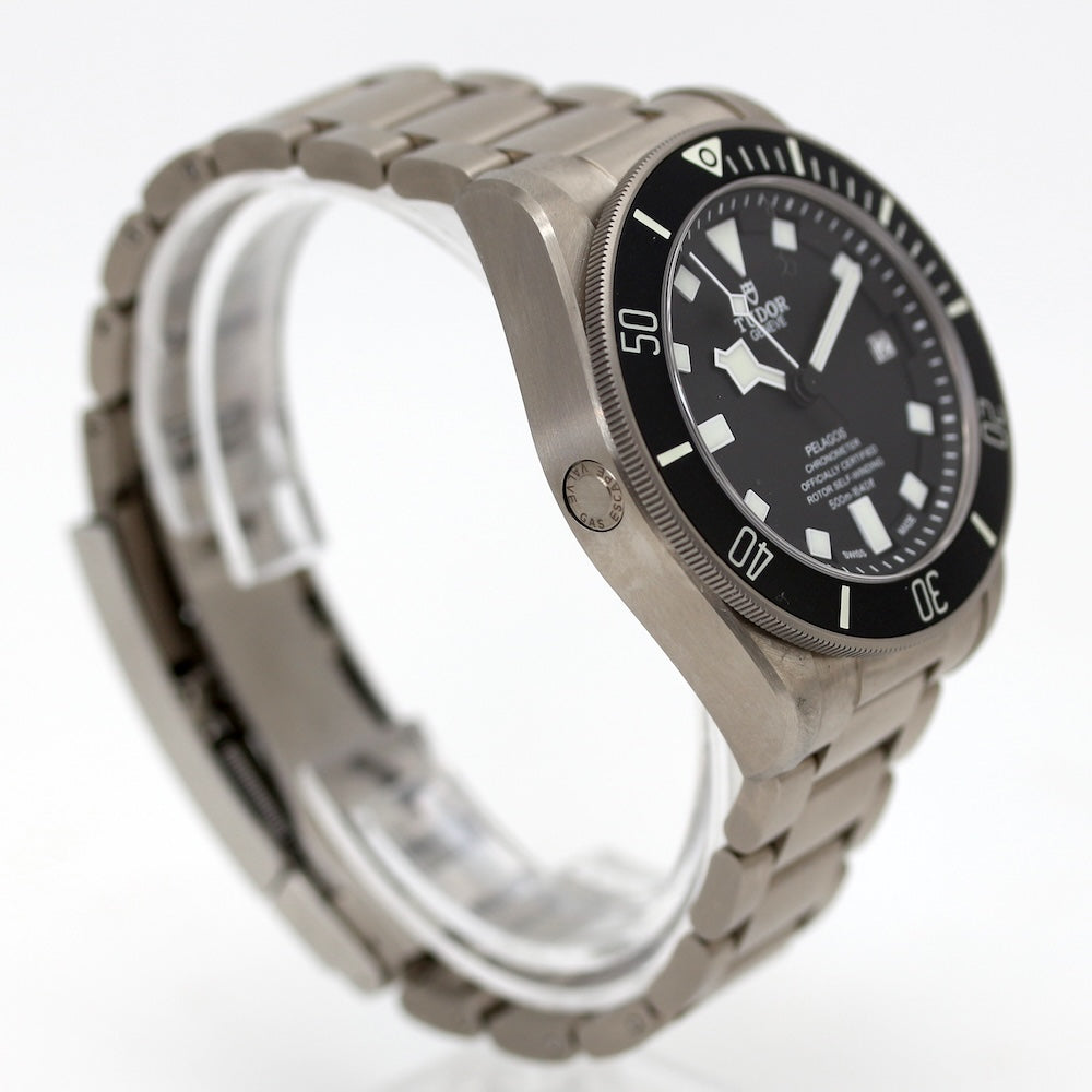 Tudor Pelagos 25600TN